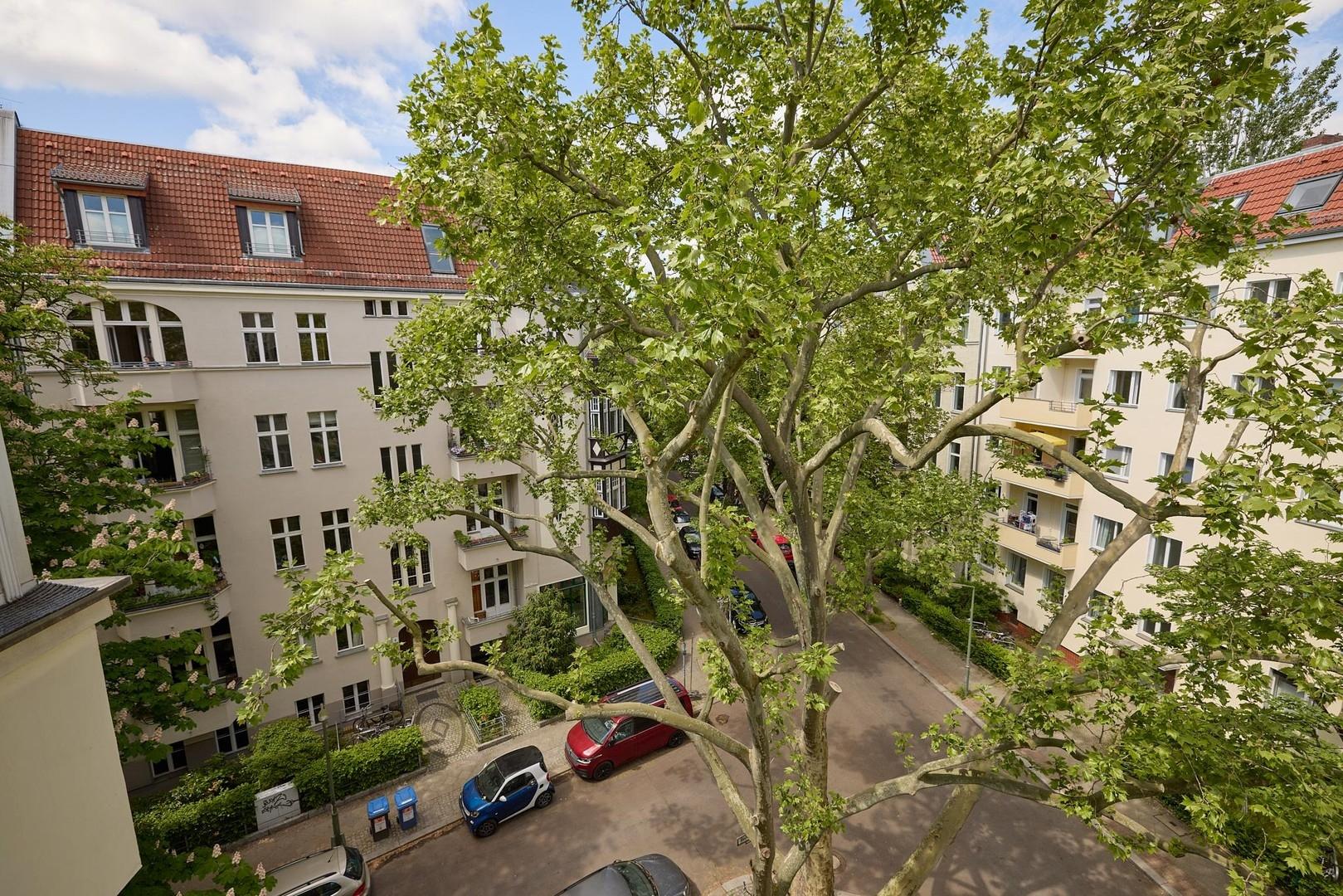 Ausblick vom Eckzimmer
