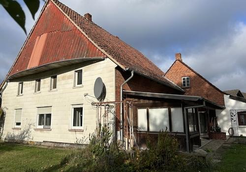 Blick aus dem Garten