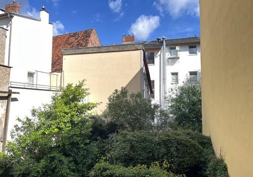 Blick über den Hofgarten