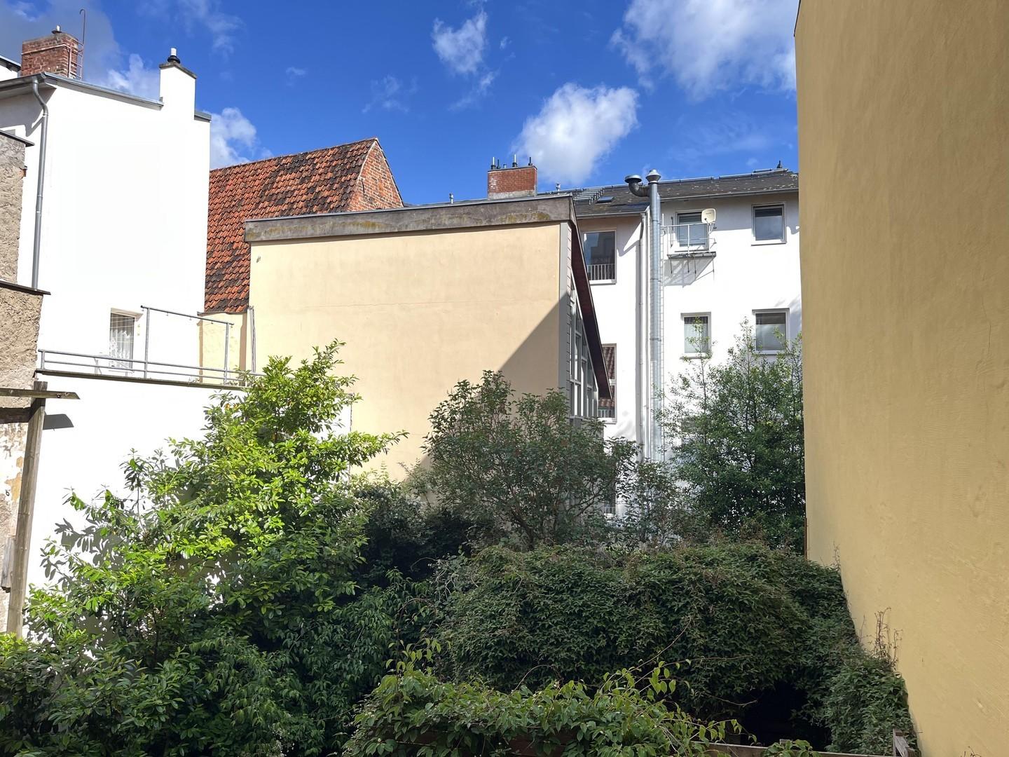 Blick über den Hofgarten