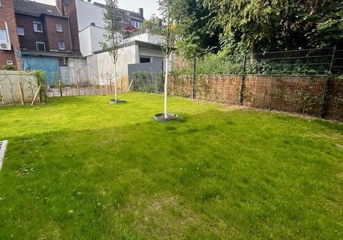 Garten Rückansicht 