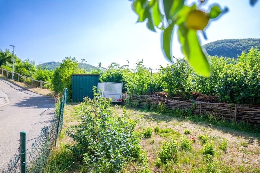 020 Garten