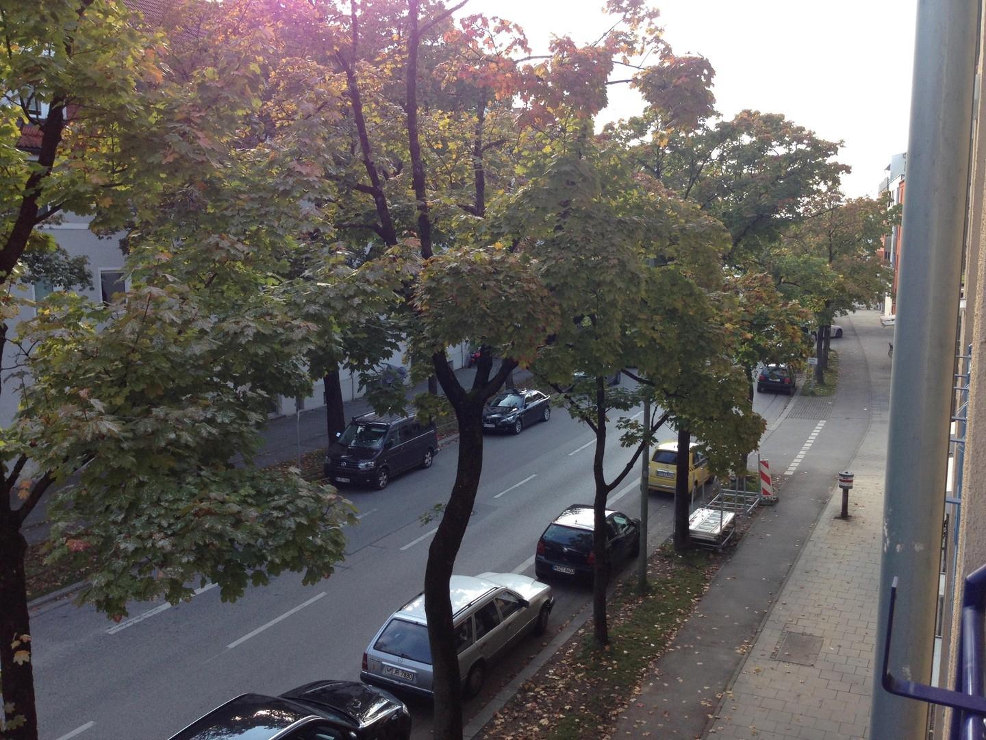 Blick vom Balkon