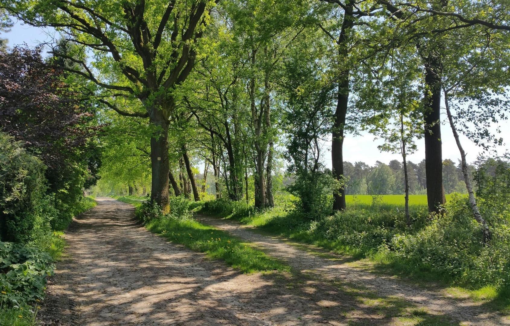 Wanderweg vor der Haustür