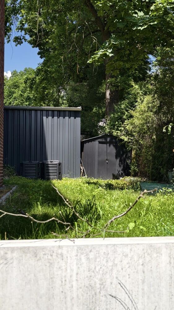 garten mit Schuppen
