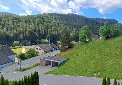 Waldblick
