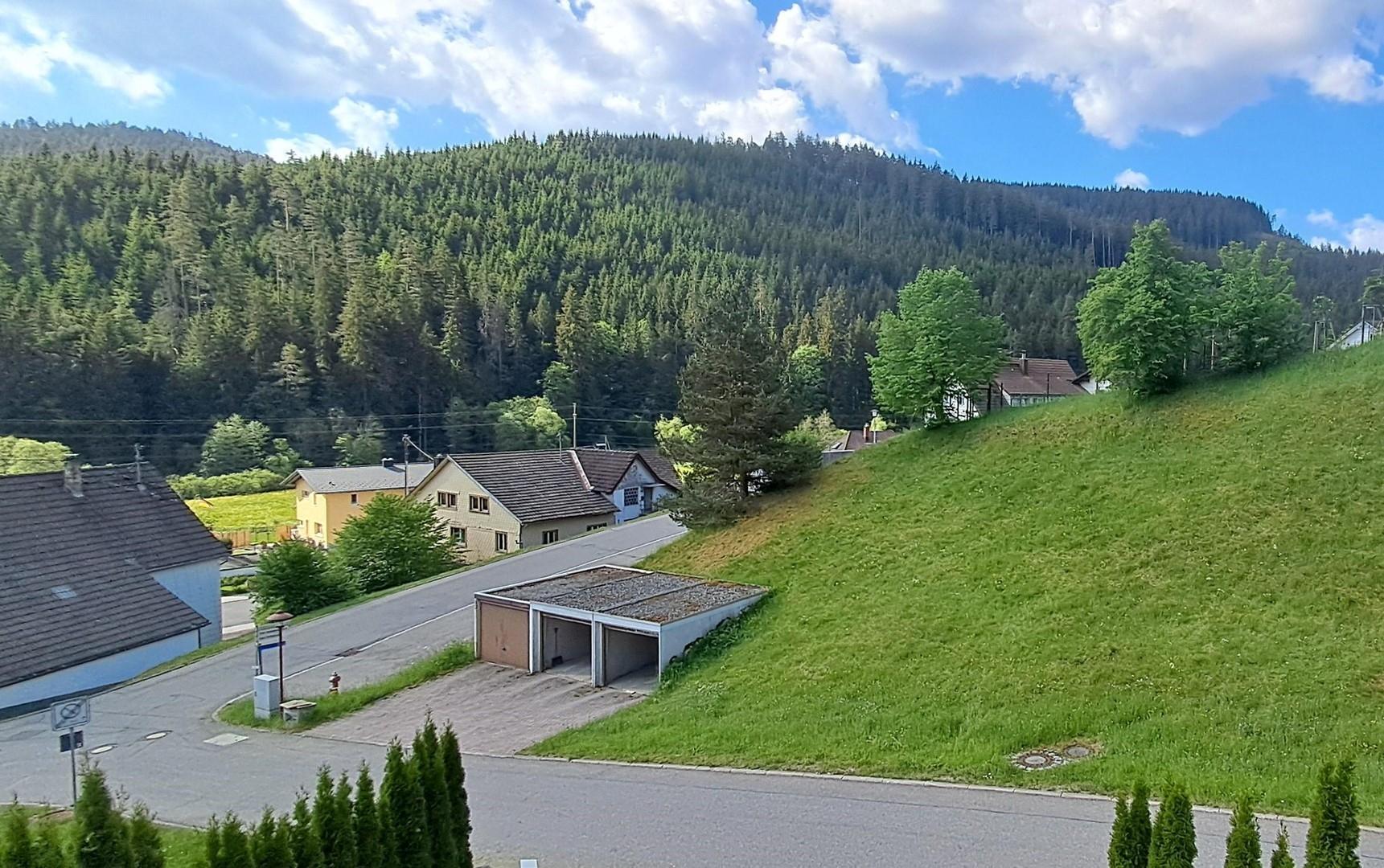 Waldblick