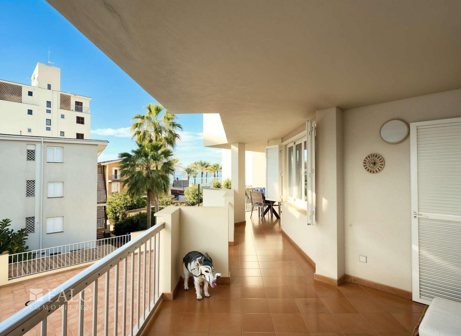 Balkon 