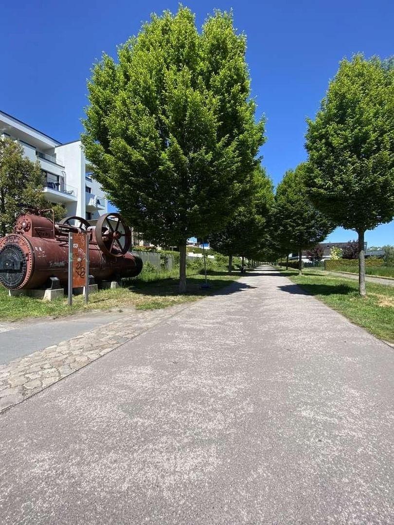 Umgebung