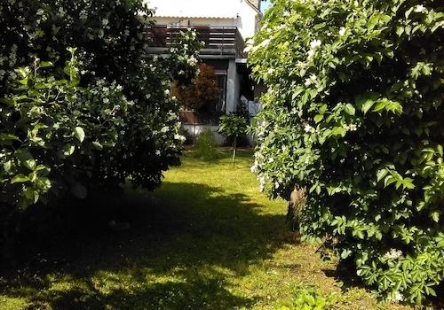 vom Garten aus gesehen