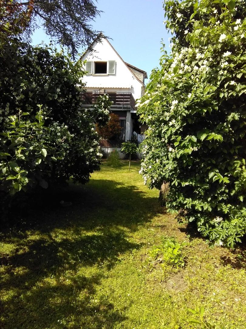 vom Garten aus gesehen