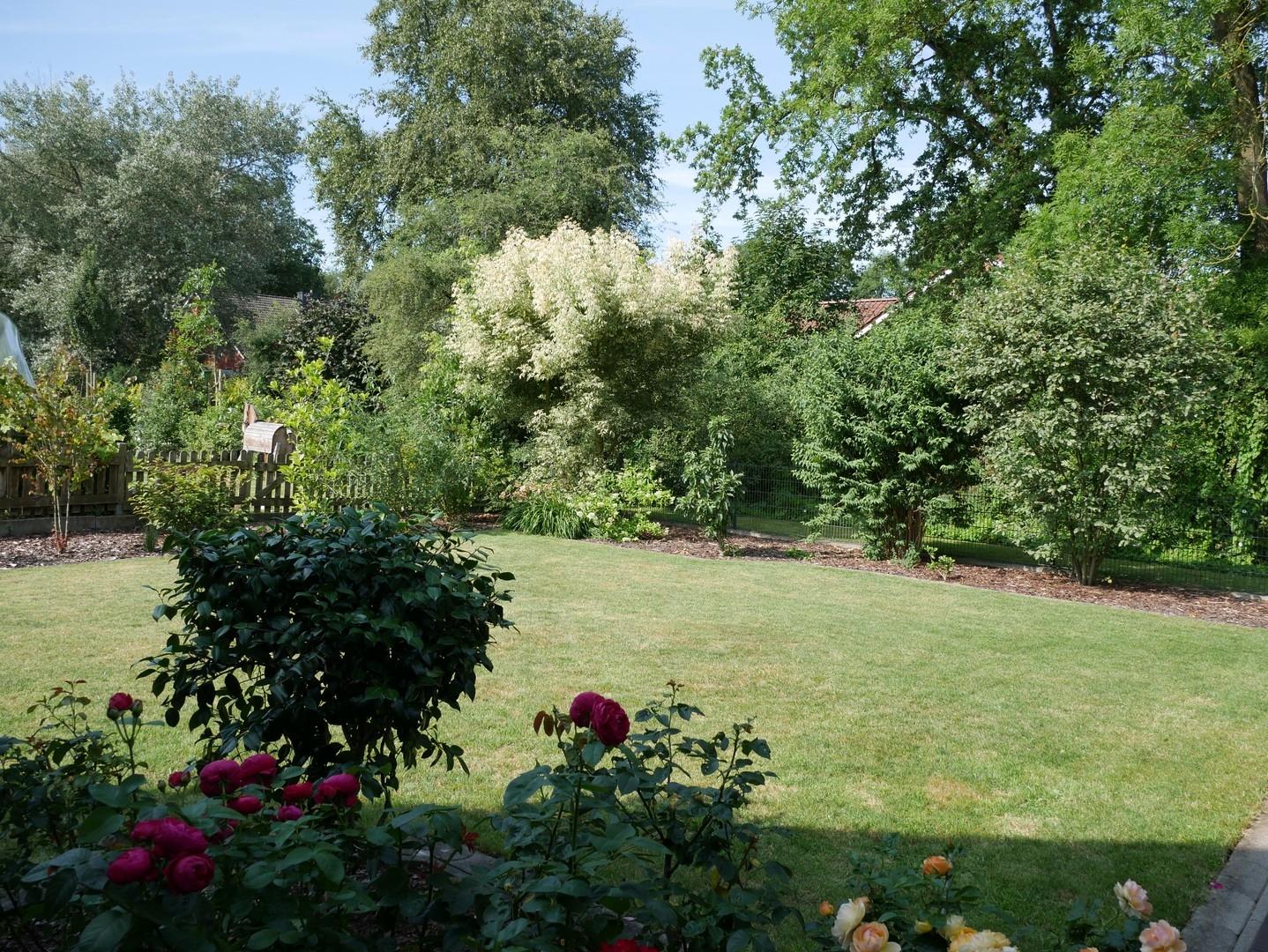 Blick in den Garten