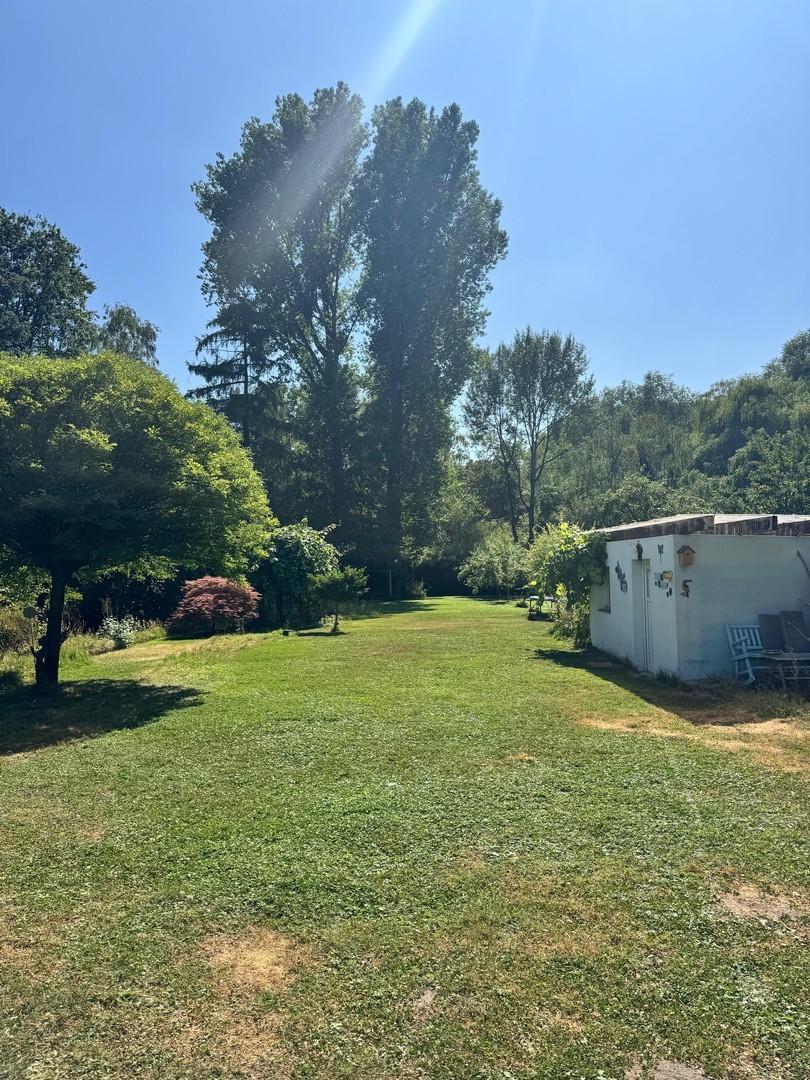 Blick in den Garten