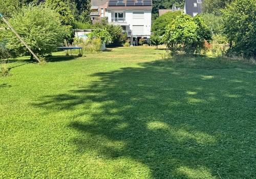 Blick aus dem Garten