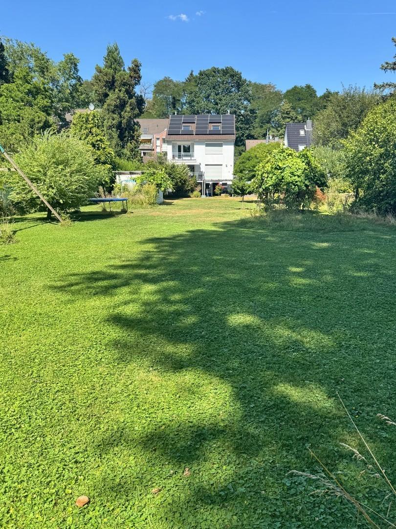 Blick aus dem Garten