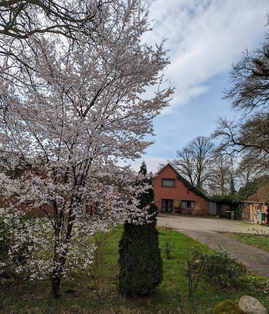 Haus von Straßenseite