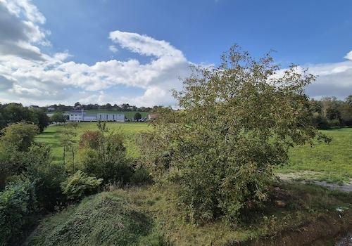 Ausblick vom Balkon