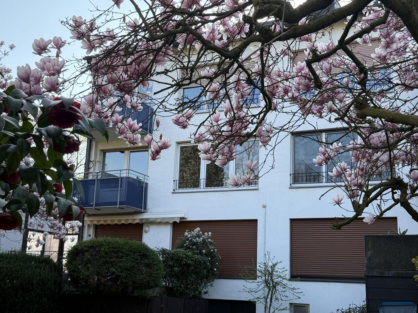 Rückansicht
