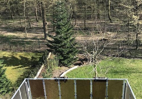Aussicht vom Dachgeschoss