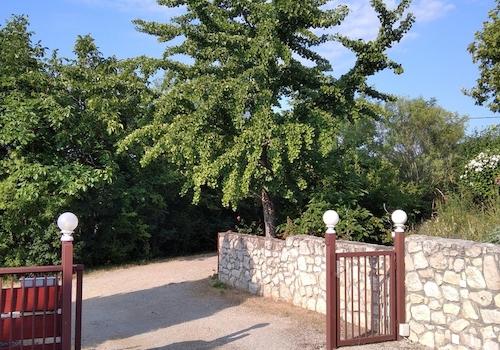Hofseite mit Gingkobaum