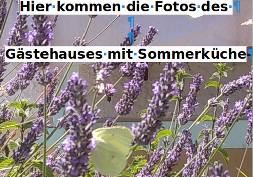 Blütenpracht im Garten