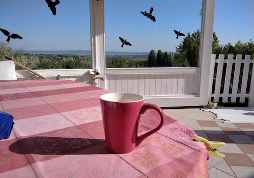 Relax am Balaton