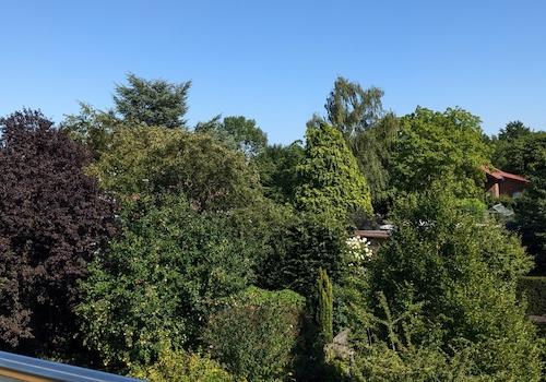 Ausblick