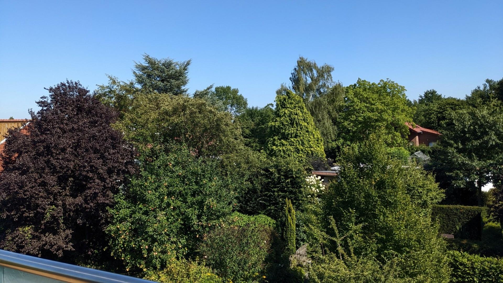 Ausblick