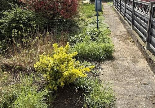 Ansicht zum Garten