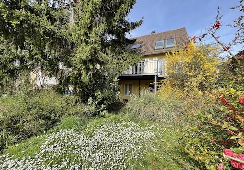 Ansicht Garten Haus