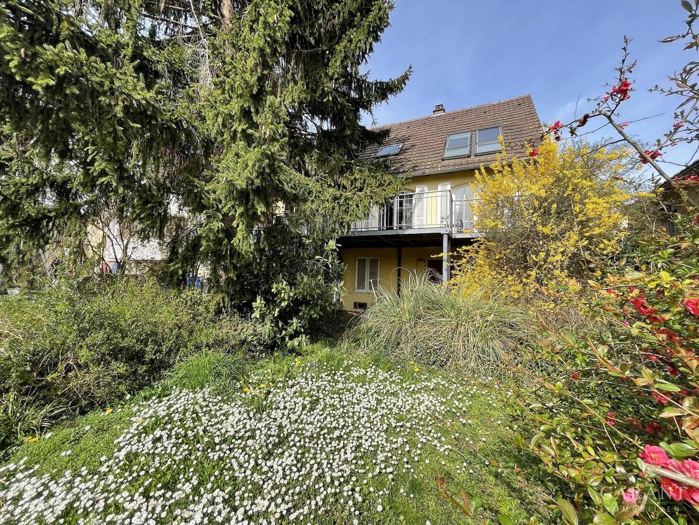 Ansicht Garten Haus