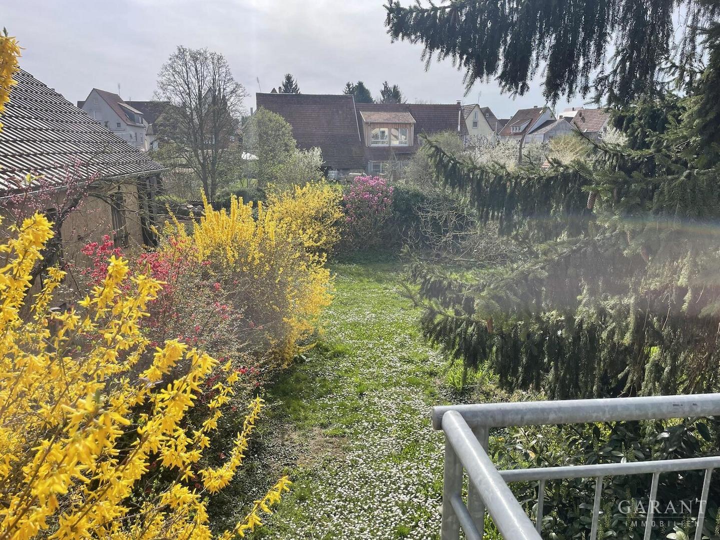 OG1 Ausblick in Garten