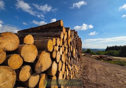 Auch an Holz mangelt es nicht