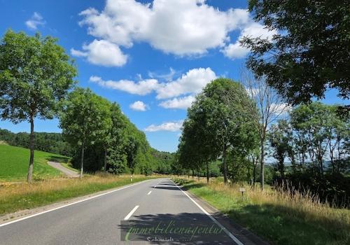 die Allenbacher Allee