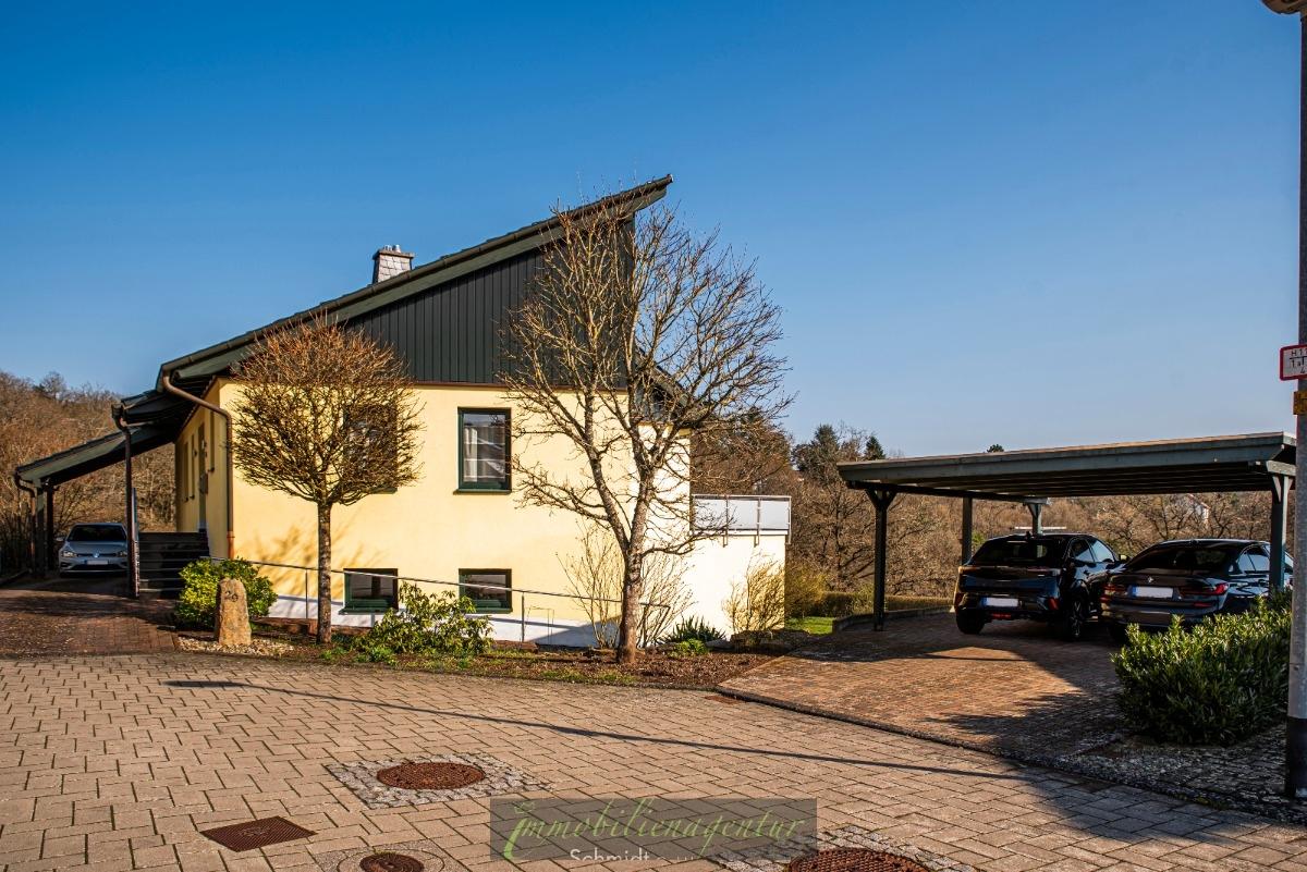 Hofzufahrt - rechts Doppel-Carport