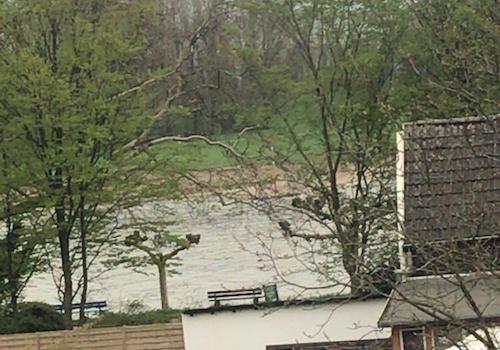 DG-Wohnung mit Rheinblick