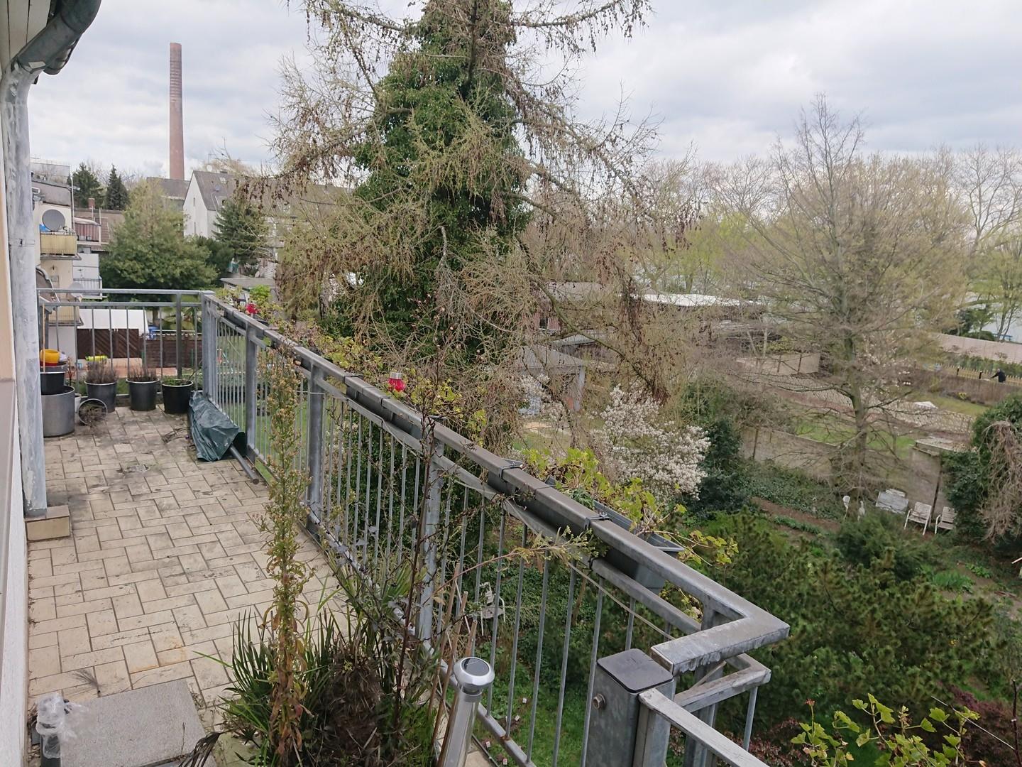 DG-Wohnung Balkonterrasse