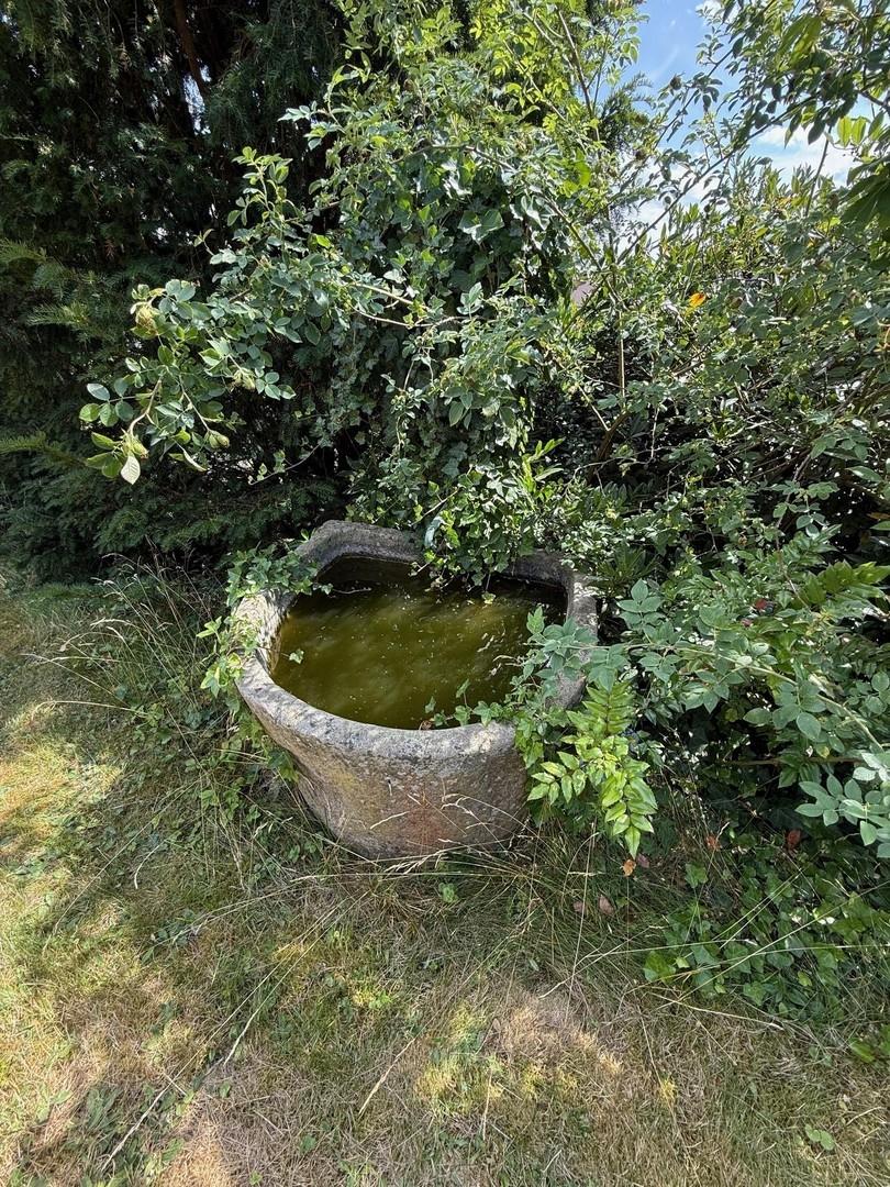 Gartenimpression