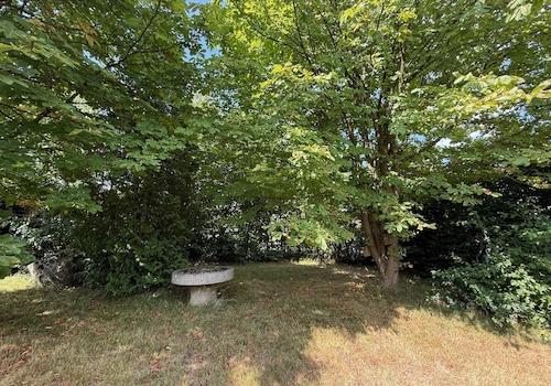 Gartenimpression 2