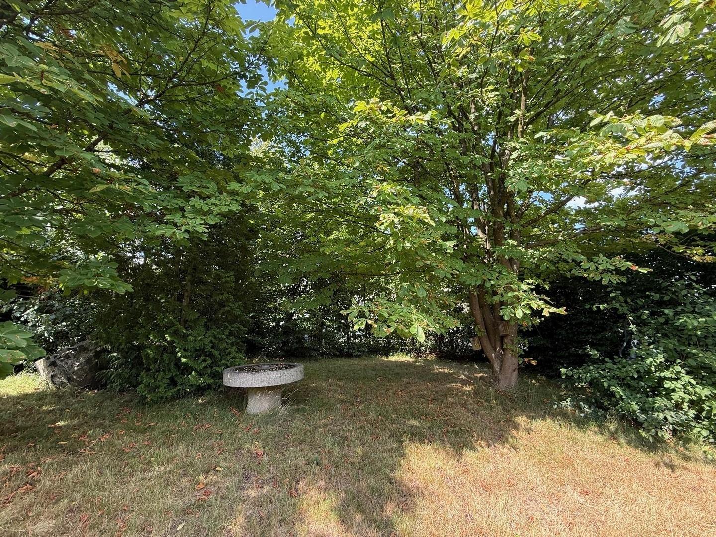 Gartenimpression 2