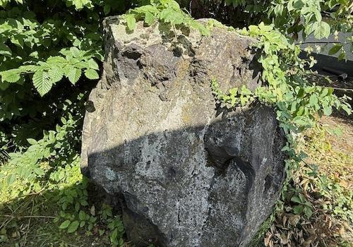 Gartenimpression 3