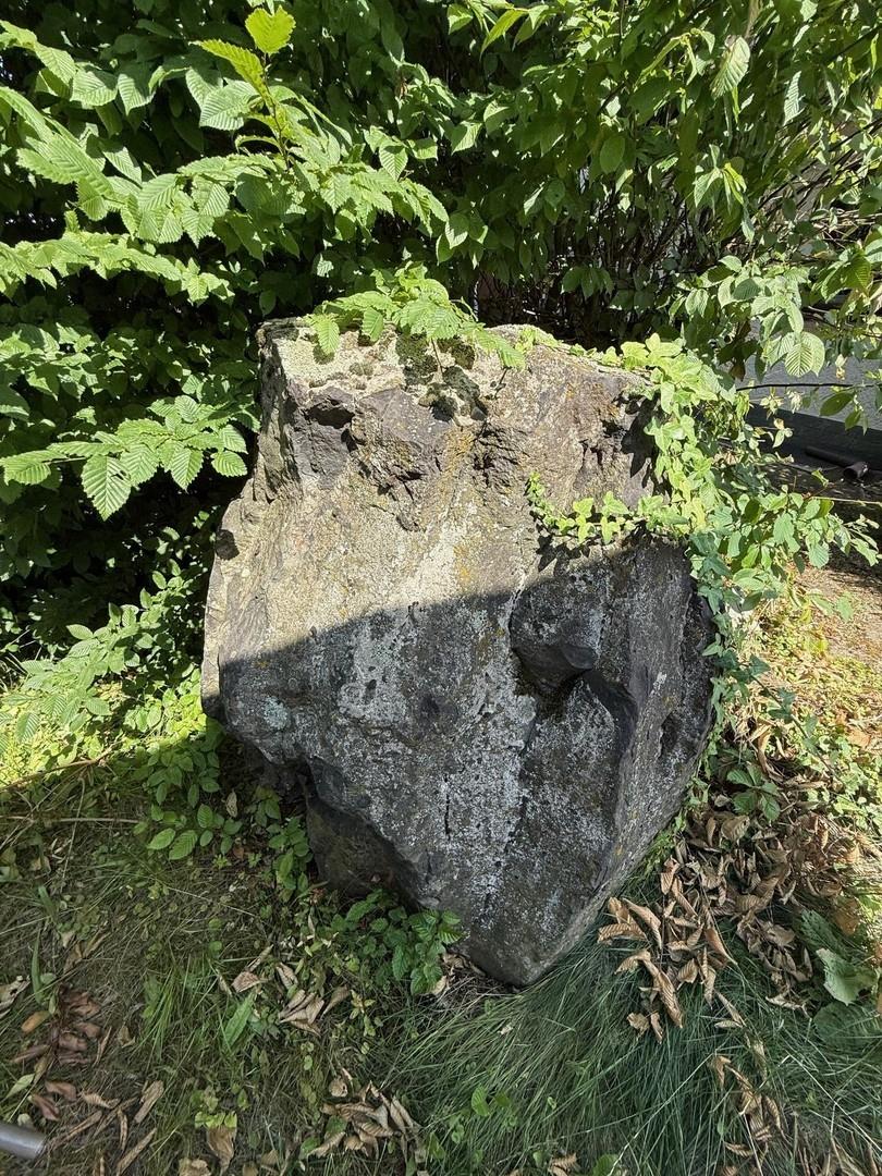 Gartenimpression 3