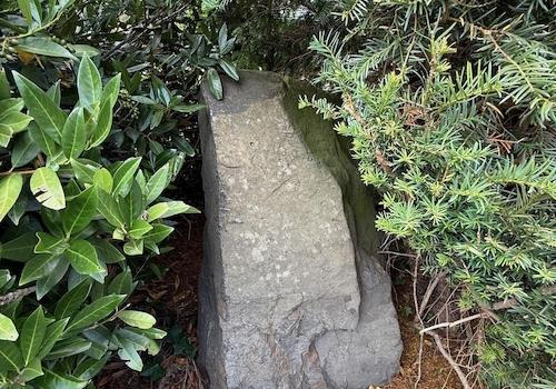 Gartenimpression 4