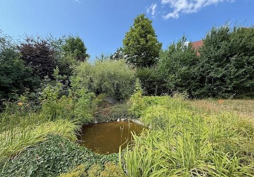 Gartenteich