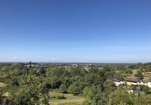Aussicht Vogesen