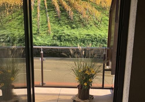 Kleiner Balkon Rebhang
