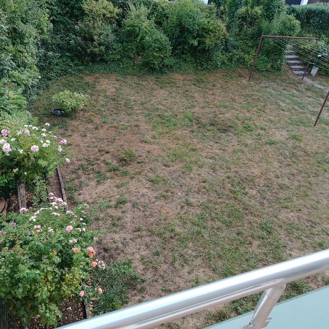 Garten auf Südseite