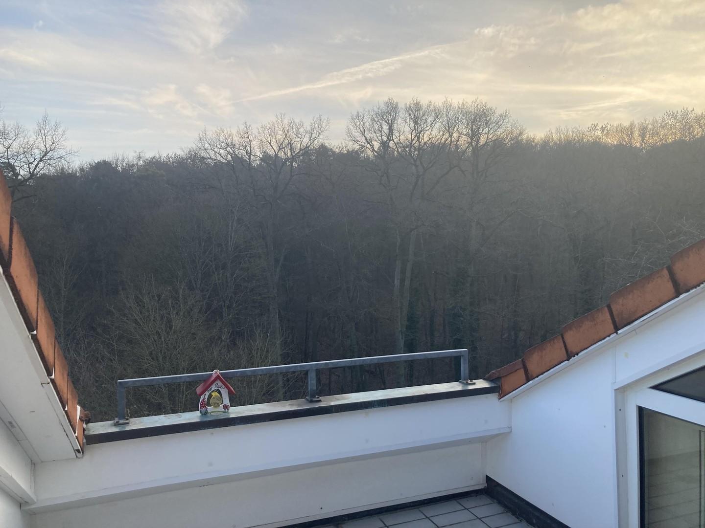 Loggia mit Blick Richtung Wald