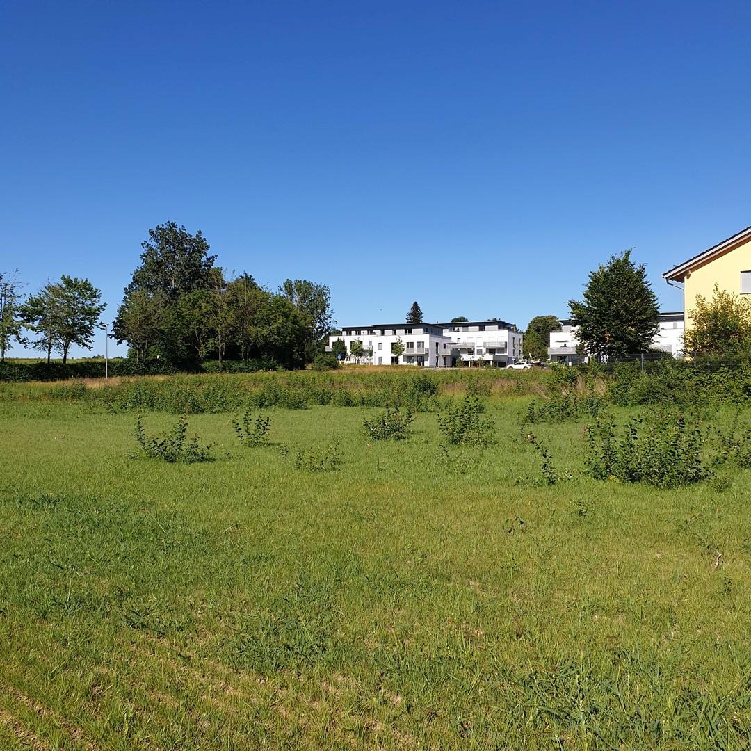 Blick von Westen