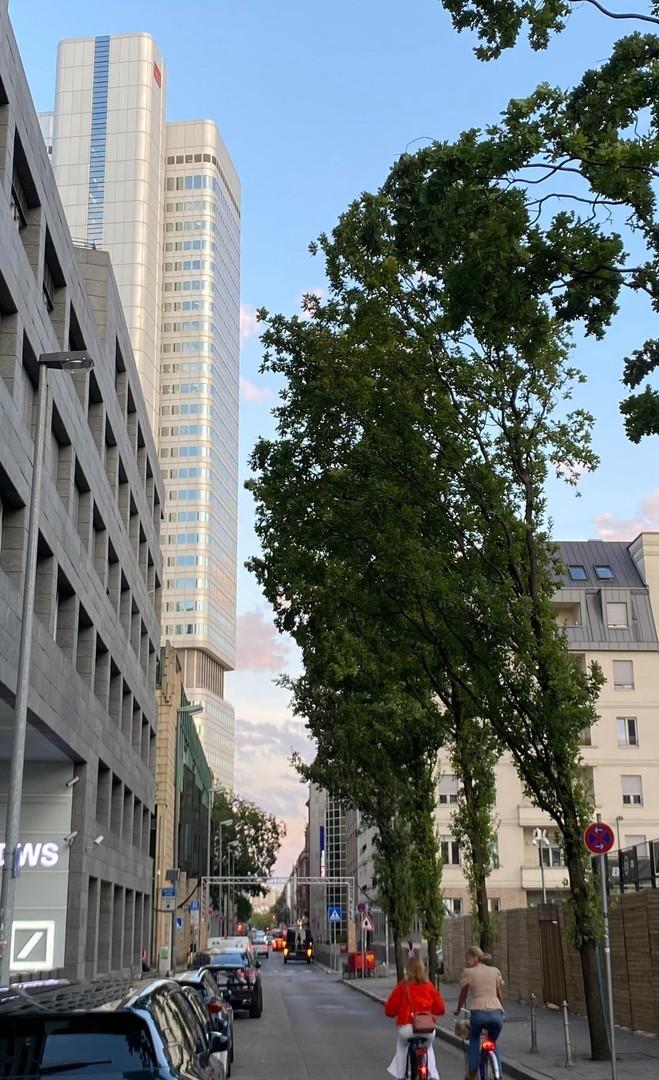 Umgebung Niddastraße